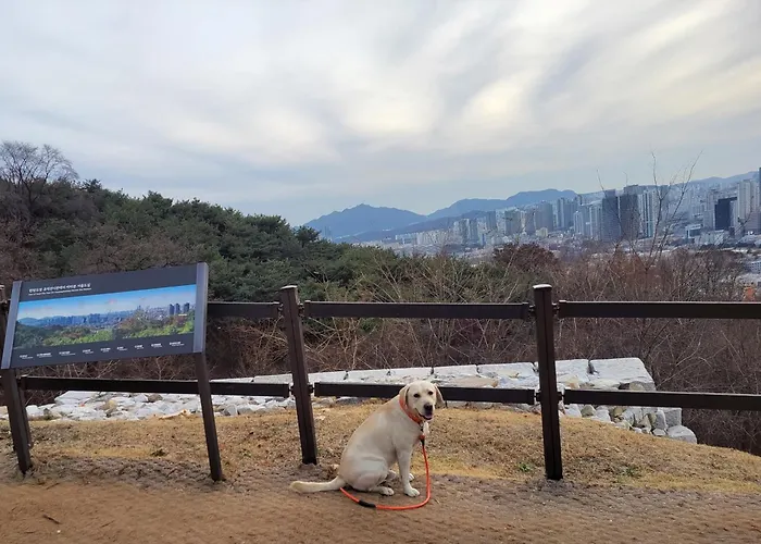 Apartment Newly Renovated 2 Bedroom #7 Seoul